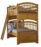Bearrific Bunk Bed