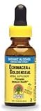Echinacea  Goldenseal
