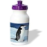 Birds - Penguin - Water Bottles by 3dRose LLC