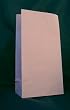 Paper Favor Treat Goody Luau Party Gift Bags - Pink (12 Bags)