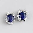 Rhinestone In Sterling Silver Horseshoe Earrings, Blue