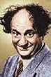 Three Stooges Larry Photo Magnet