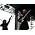 Vignette de Tom Morello