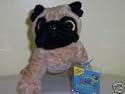 Pug Lil Kinz