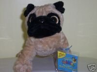 Pug Lil Kinz