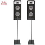 Imperfect CAG Speaker Stand (Pair)
