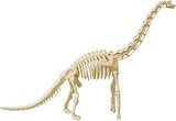 Elenco Skin 'n Bones Brachiosaurus