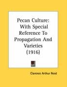 Pecan Culture: With Special Reference To Propagation And Varieties (1916)