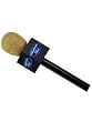 American Idol Costume Microphone