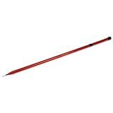19-ft. Flexible Pole