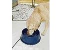 K&H 96-Ounce Thermal-Bowl Outdoor Pet Feeder, Blue