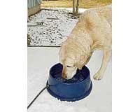 K&H Thermal Bowl (Assorted Colors), 1.5 gallons