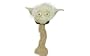 Hornungs star wars driver headcover yoda