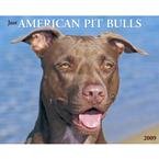 Just American Pit Bulls 2009 Wall Calendar