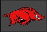 Arkansas Razorbacks Entry Mat