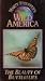  : Marty Stouffer's Wild America: The Beauty of Butterflies