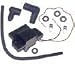 Sierra International 18-5176 Marine Ignition Coil for Johnson/Evinrude Outboard Motor