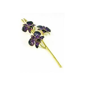 REAL FLOWER Dendrobium Orchid in Purple by 