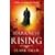 Darkness Rising (Liebermann Papers 4)
