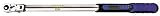 Urrea 6310 Electronic Torque Wrench [並行輸入品]