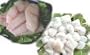 Charleston Seafood Red Snapper & Scallops, 48-Ounce Box
