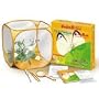 Fascinations World Alive Butterfly Insect Kit