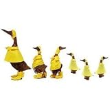 Wood Duck - Lawn Ornament with Raincoat - Family - Set of 6 (Brown Yellow) (Sizes Vary)