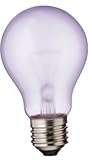 Full Spectrum 60 Watt Neodymium A19 Light Bulb, Frosted