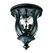 Savoy House Lighting - KP-5-307-BK - Monticello Flush Mount - Black Finish / Clear Wa...