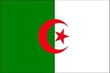 3 x 5 Feet Algeria Poly - indoor International Flag Made in US.
