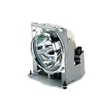 ViewSonic projector lamp ( PRJ-RLC-015 )