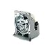 PC Hardware : ViewSonic projector lamp ( PRJ-RLC-015 )