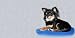 AIRBRUSHED LICENSE PLATES -LONG HAIRED CHIHUAHUA LICENSE PLATE - #1579 Image