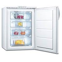 Free Standing Freezer (ZUF105W)