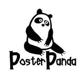 Review PosterPanda.com  / 11x14 - SILVER LEAF FRAMED MIRROR