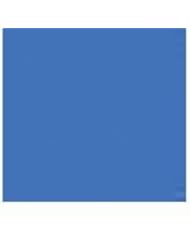 Citadel Layer 1: Calgar Blue