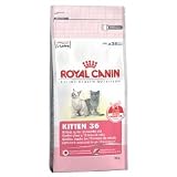 ロイヤルカナン FHN キトン 2Ｋｇ