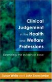 Clinical Judgement in the Health and Welfare Professions: Extending the Evidence Base