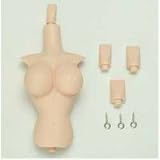 27RP-F04W-21 女性 上胴+首パーツ一式 ソフトバストL専用 ホワイティ