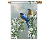 Mailwraps Bluebirds and Blossoms Standard Flag
