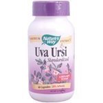Uva Ursi Extract - Standardized, 60 caps