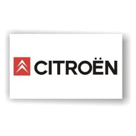 BIG CITROEN C2 C3 C4 C5 2CV PICASSO DEALER FLAG BANNER