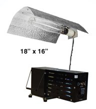 1000 watt Switchable MH/HPS Bat Wing Grow Light System