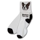 Boston Terrier Roll Down Sock