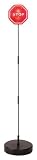 21GqC1zoRkL. SL160  Ideas In Motion Flashing LED Parking Assistant System