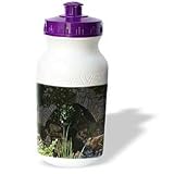 WhiteOak Photography Nature Scenes - Peacefulness Bridge and creek - Water Bottles