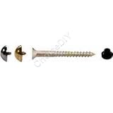 19mm x 8 Electro Brassed Dome Mirror Screws (box of 100)