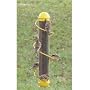 Bird Quest SBF2Y 17" Spiral Thistle Bird Feeder - Yellow