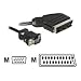 DELOCK Kabel Video Scart Ausgang -> VGA Eingang