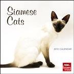 Siamese Cats 2010 Wall Calendar 12 X 12